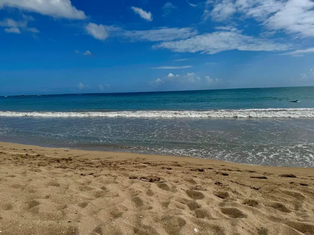 187 HORIZONTE #906 Carolina, PR 00979