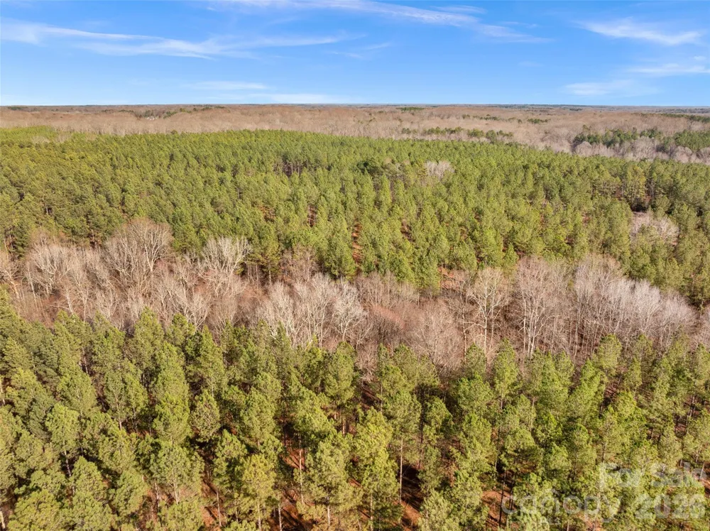000 Peacehaven Road #4 McConnells, SC 29726