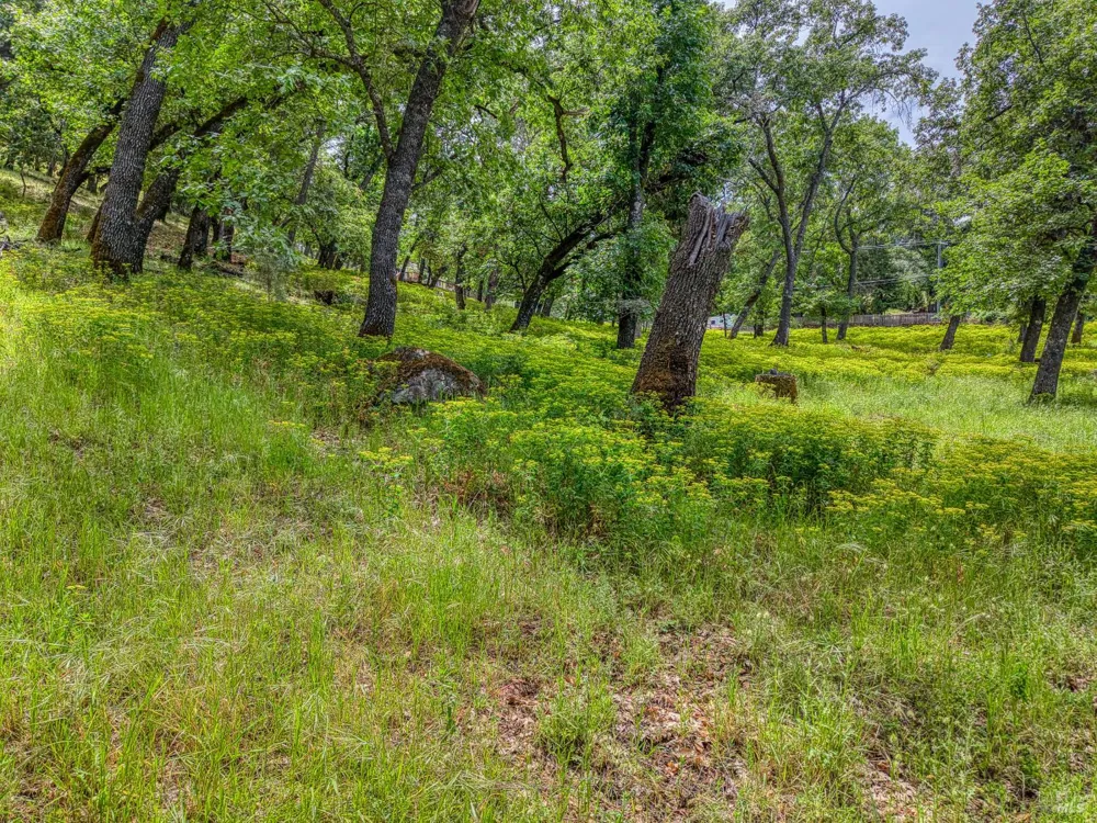 5290 Lake Boulevard Lower Lake, CA 95457