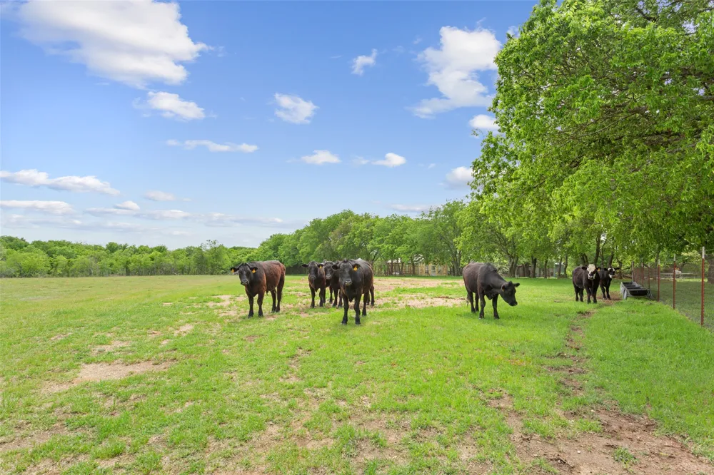 1277 HCR 4251 Hillsboro, TX 76645