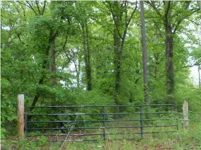 758 Montgomery Road Dayton, TN 37321