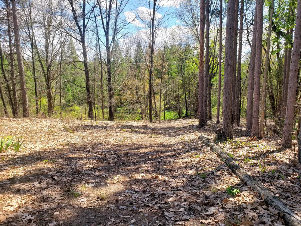 1700 Hamilton Road Battle Creek, MI 49017