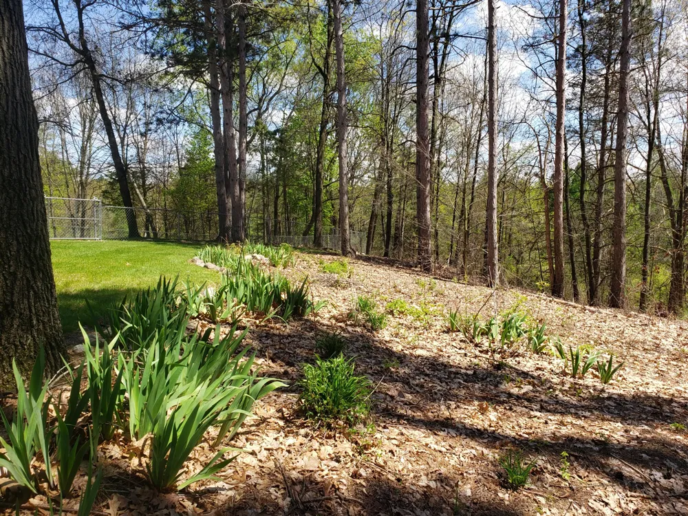 1700 Hamilton Road Bedford Charter Township, MI 49017