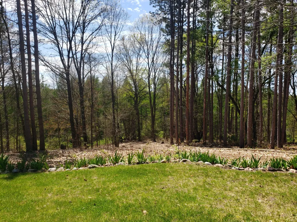 1700 Hamilton Road Bedford Charter Township, MI 49017