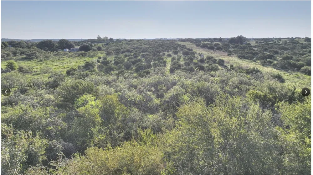 7800 Boswell Court Lipan, TX 76462