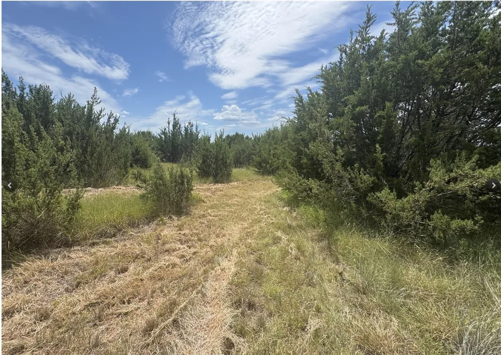 7800 Boswell Court Lipan, TX 76462