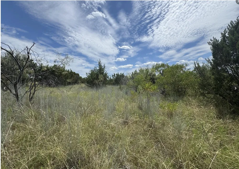 7800 Boswell Court Lipan, TX 76462