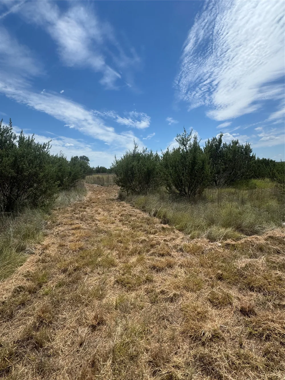 7800 Boswell Court Lipan, TX 76462