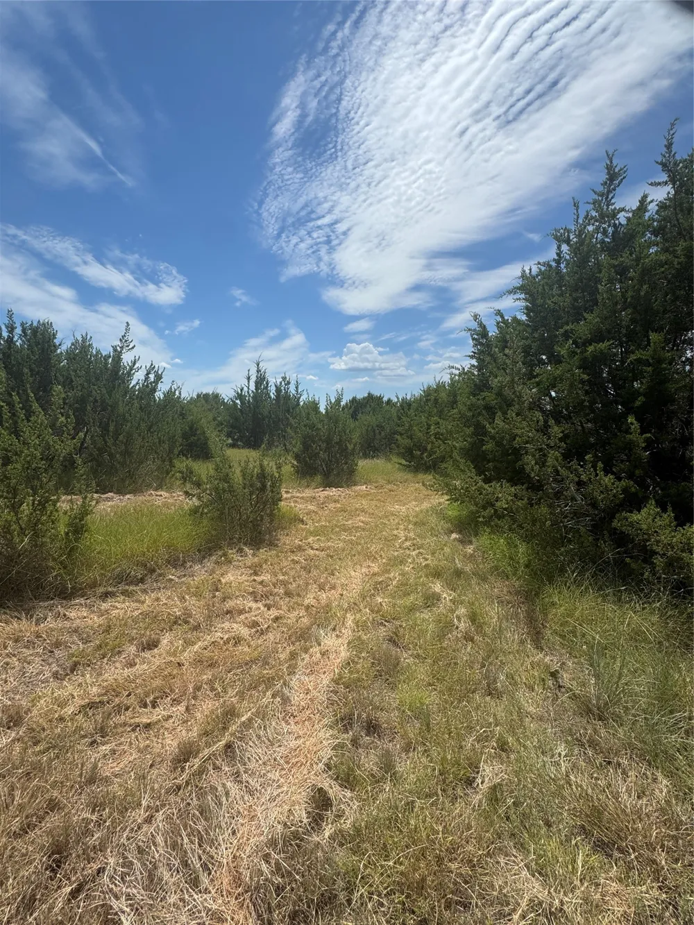 7800 Boswell Court Lipan, TX 76462