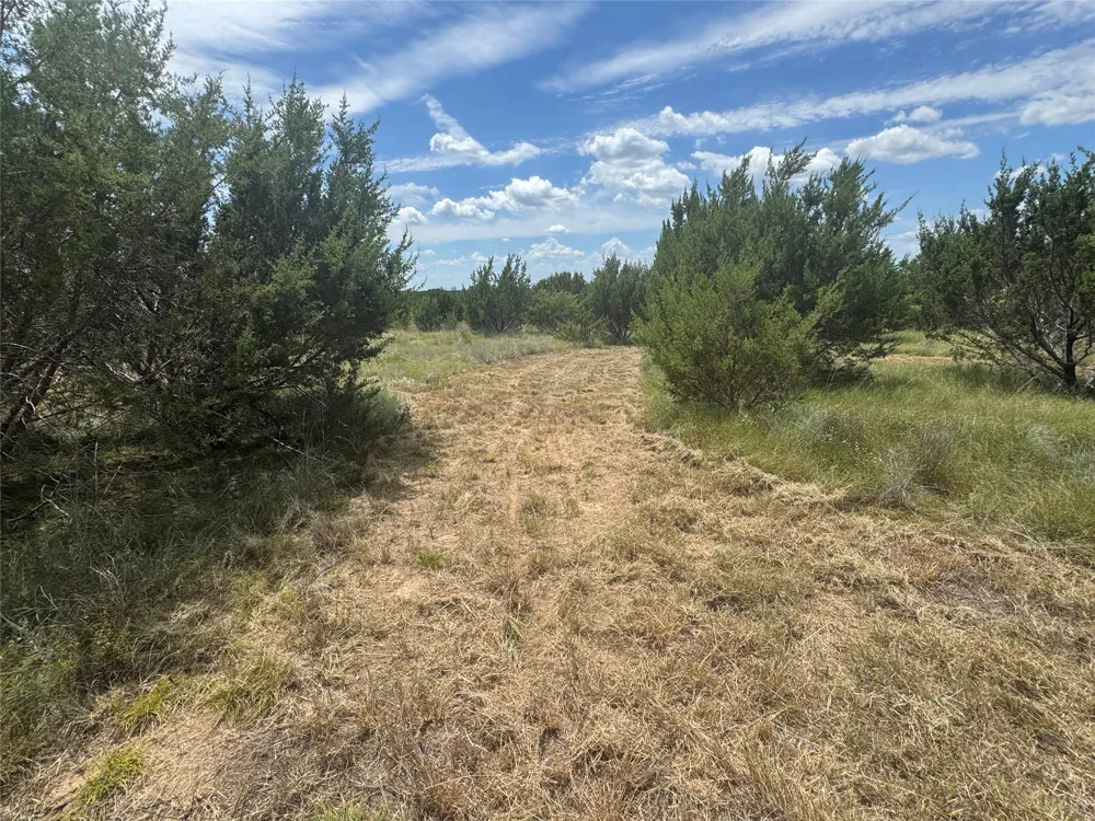 7800 Boswell Court Lipan, TX 76462