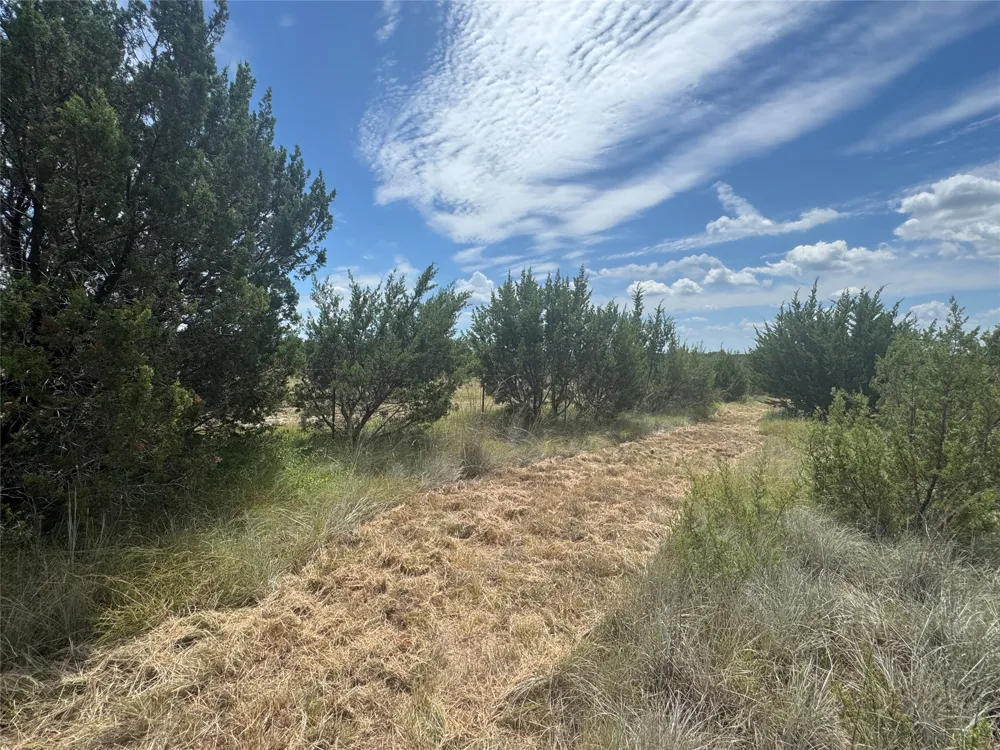 7800 Boswell Court Lipan, TX 76462