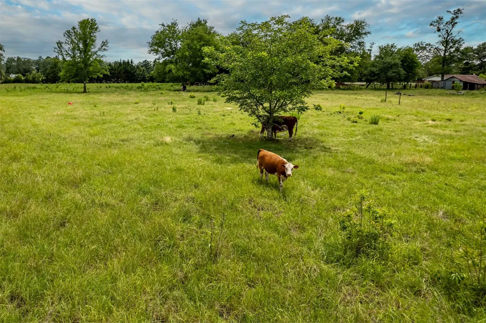 7037 E U.S. HWY 80 Hawkins, TX 75765