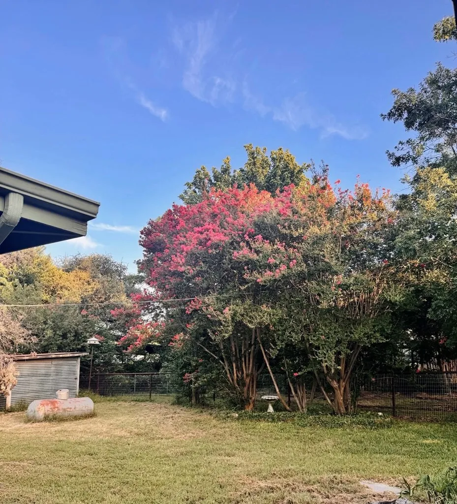 325 E Rainey Street Mason, TX 76856