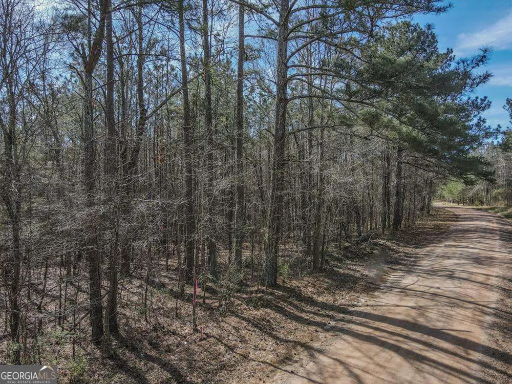 534 Craven RD Roopville, GA 30170