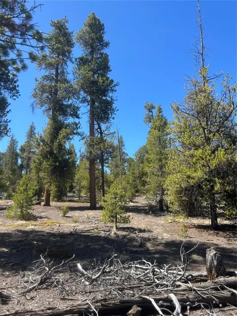 266 Ponderosa Drive
