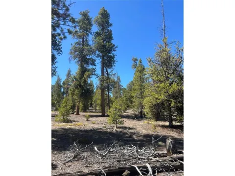 266 Ponderosa Drive
