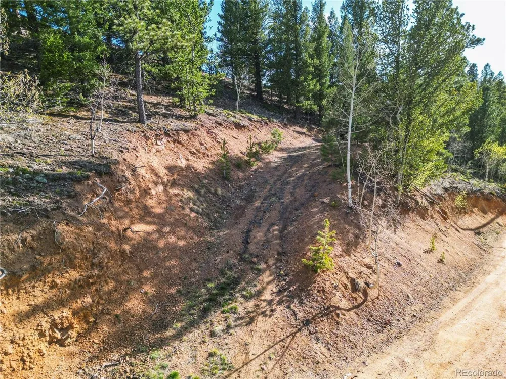 272 Wise Road Bailey, CO 80421