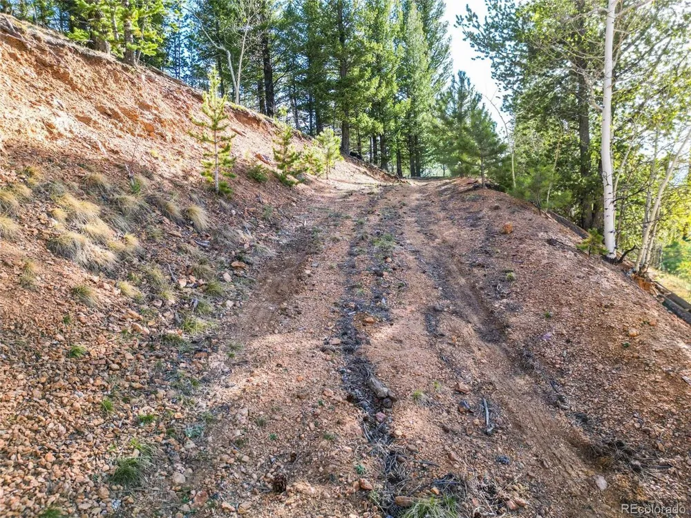 272 Wise Road Bailey, CO 80421