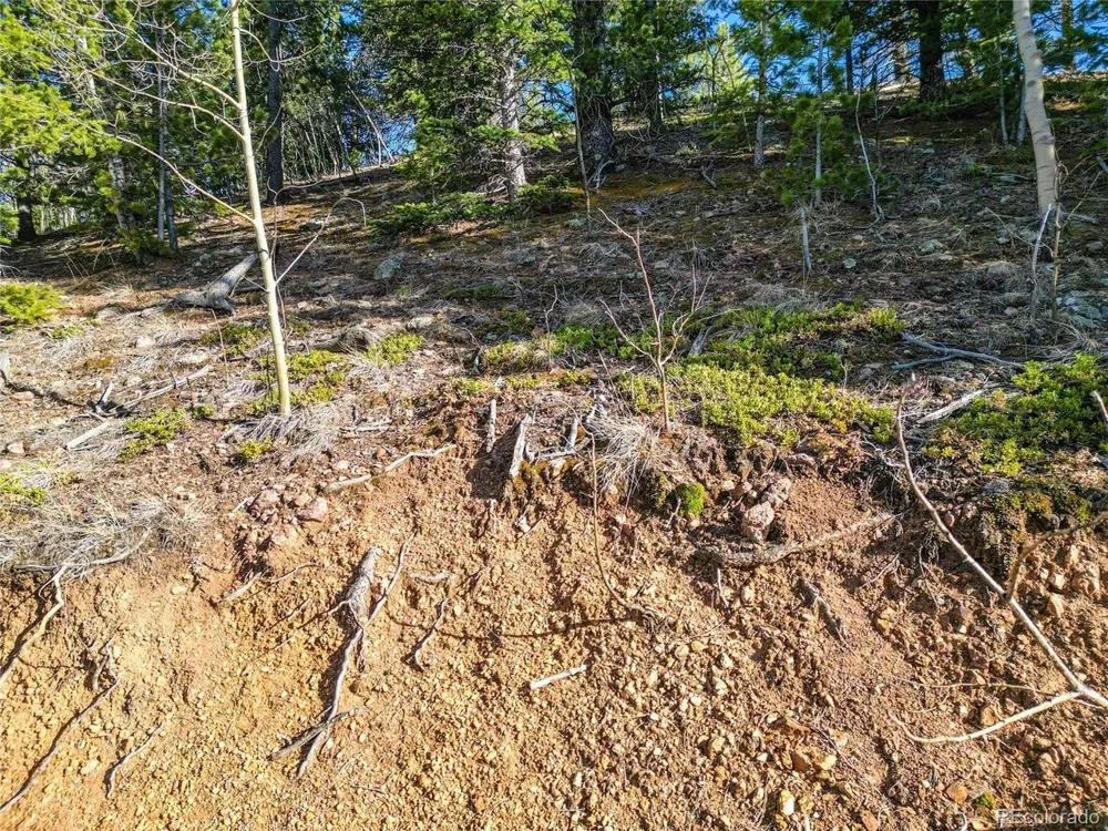 272 Wise Road Bailey, CO 80421