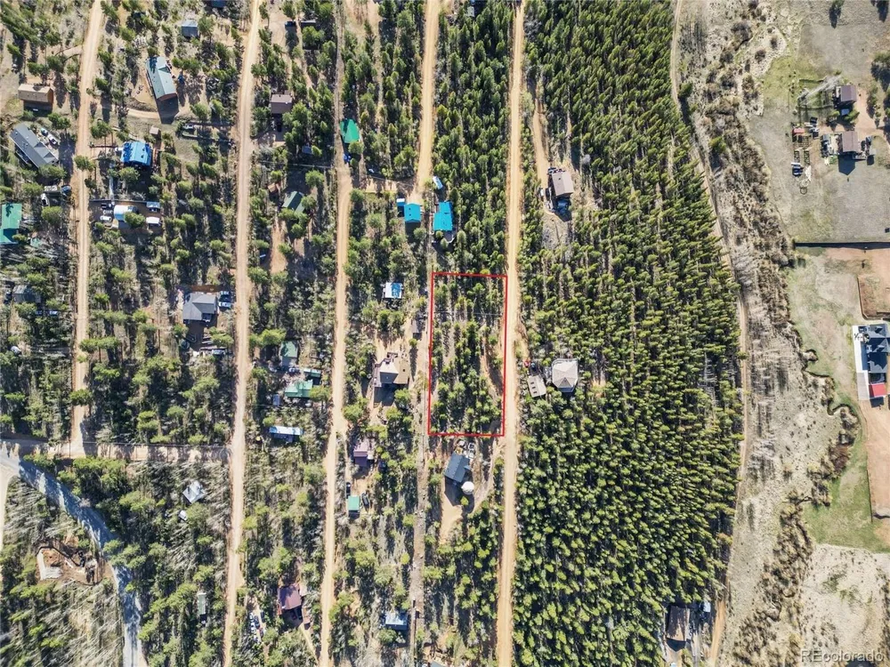 272 Wise Road Bailey, CO 80421