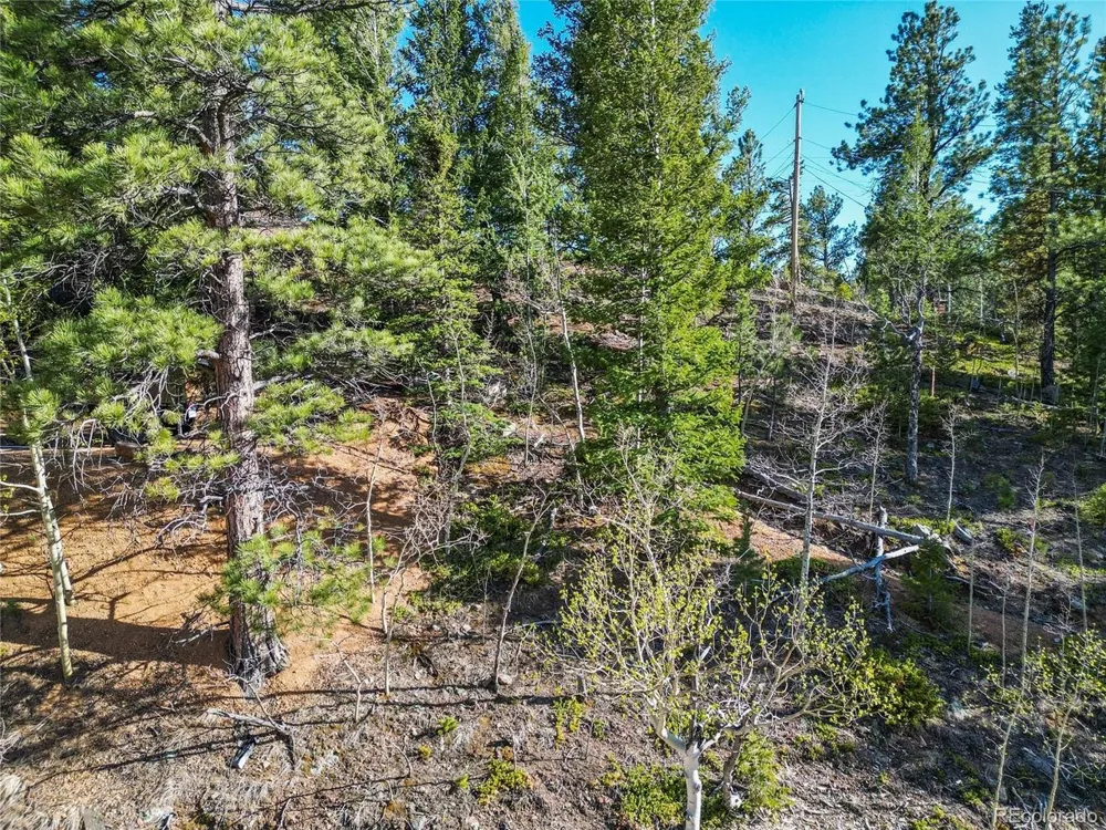 272 Wise Road Bailey, CO 80421