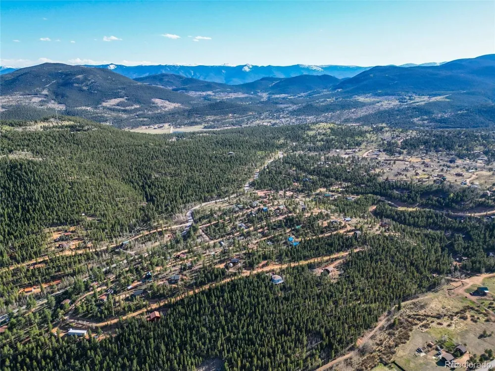 272 Wise Road Bailey, CO 80421