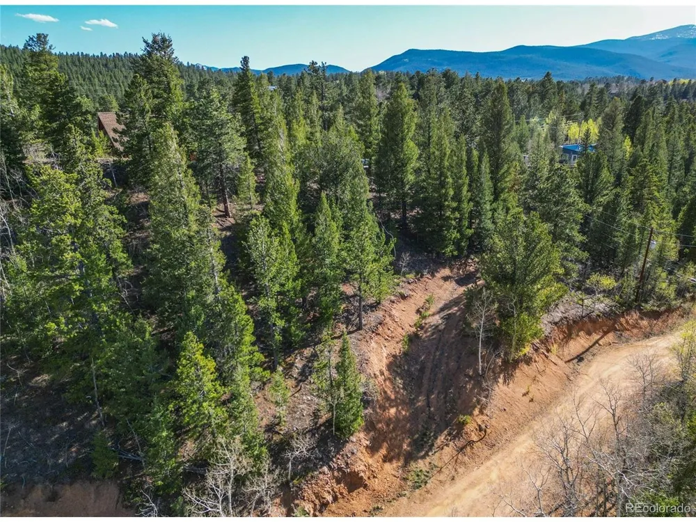 272 Wise Road Bailey, CO 80421