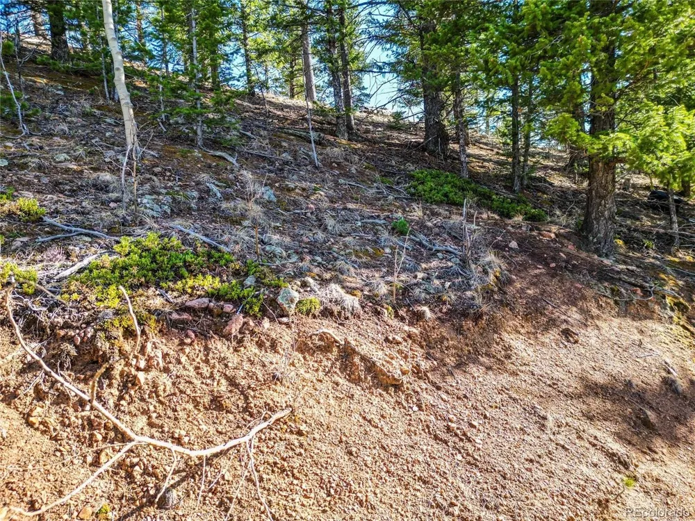 272 Wise Road Bailey, CO 80421