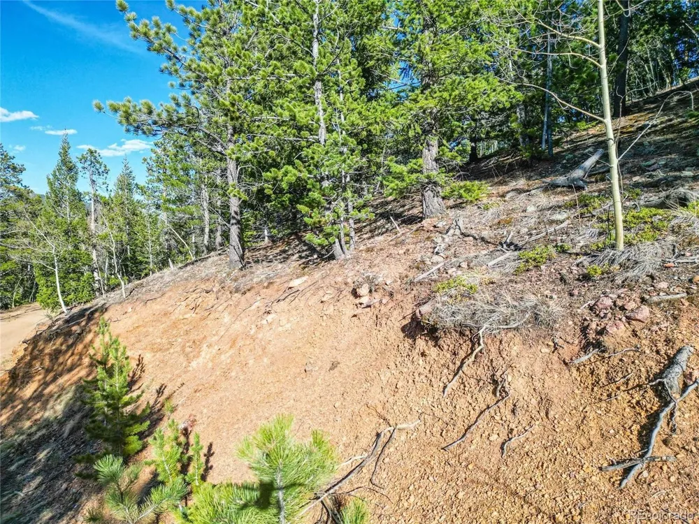 272 Wise Road Bailey, CO 80421