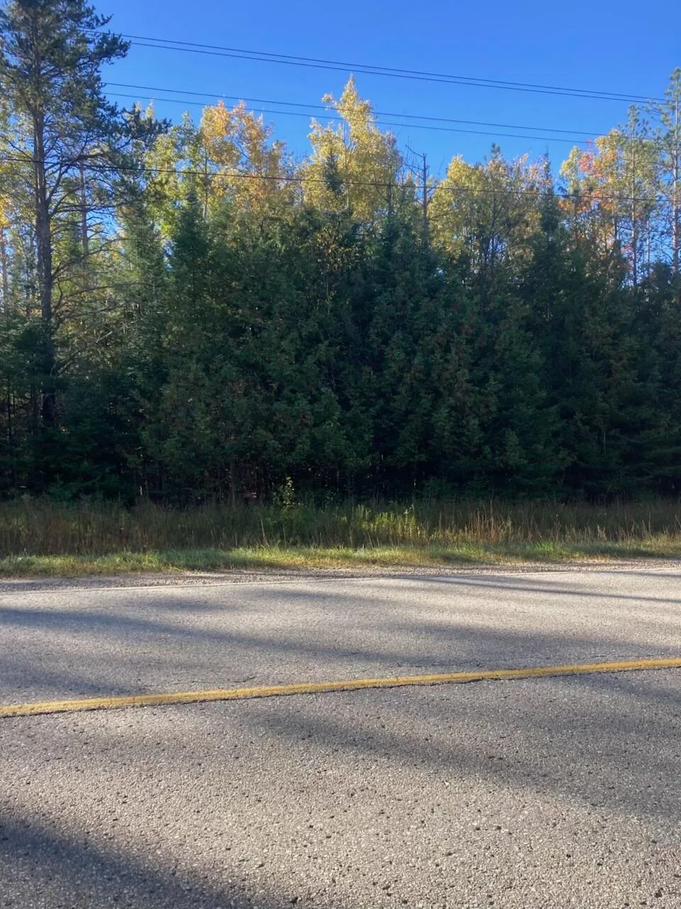 9165 Afton Road Afton, MI 49705