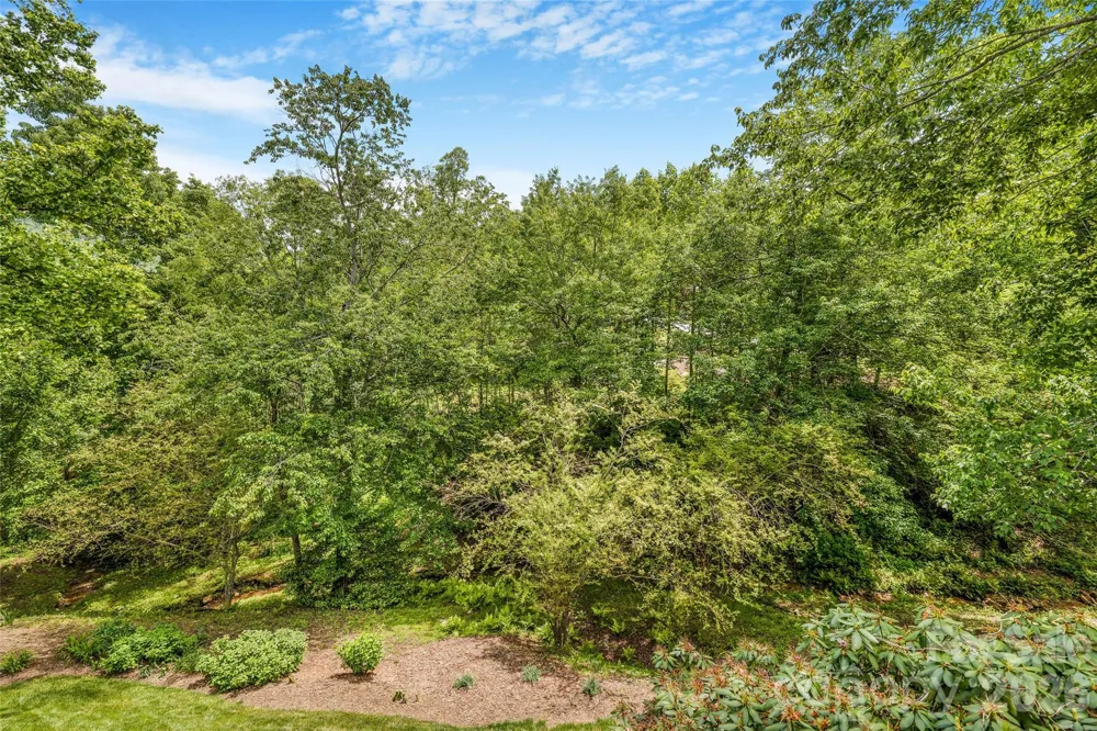 50 Meadow Village Lane Asheville, NC 28803