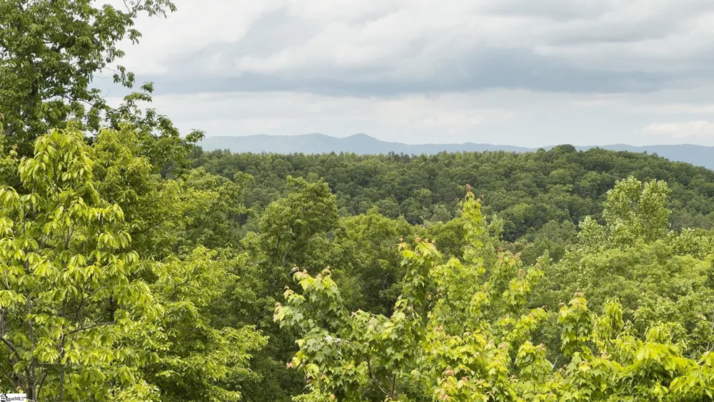 296 Long Mountain Road Pickens, SC 29671