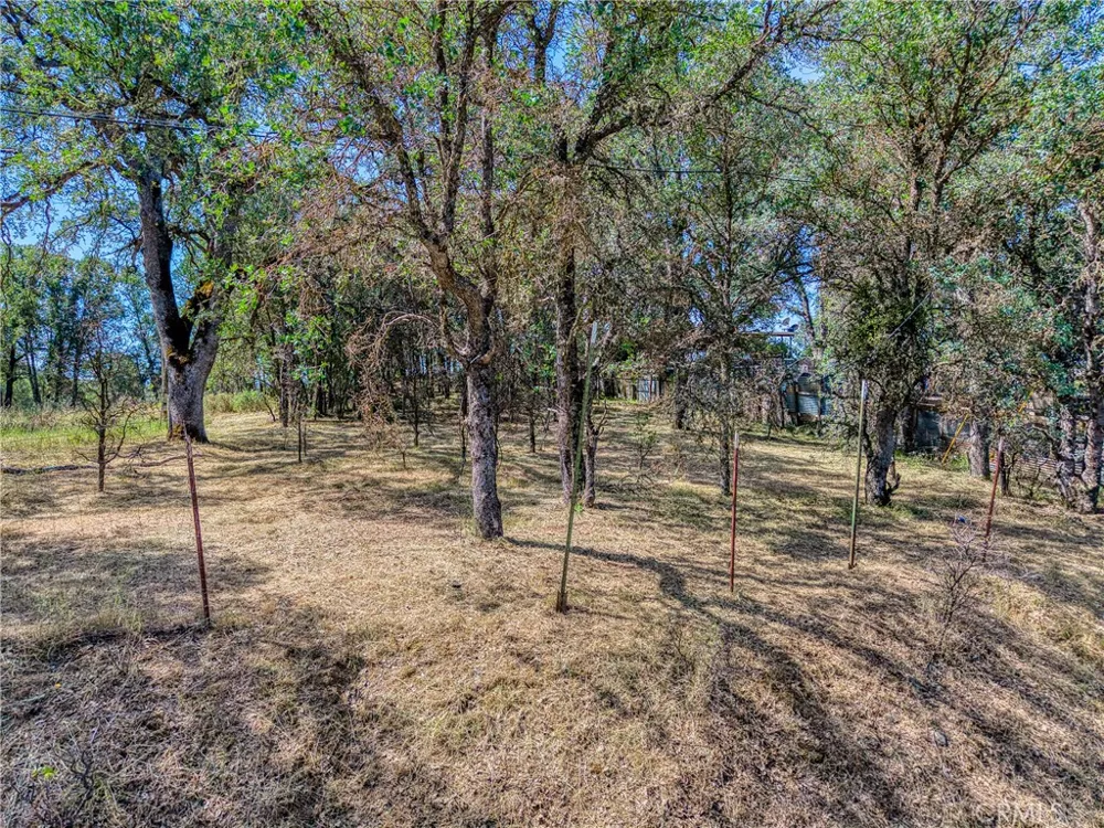 16793 Big Bear Lower Lake, CA 95457