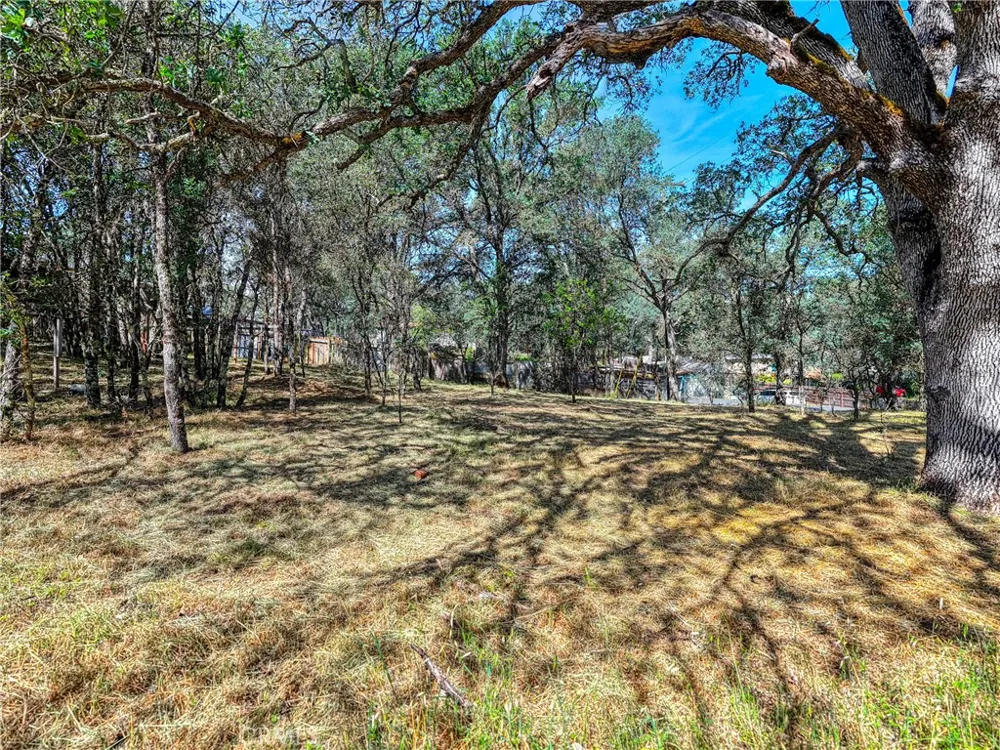 16793 Big Bear Lower Lake, CA 95457