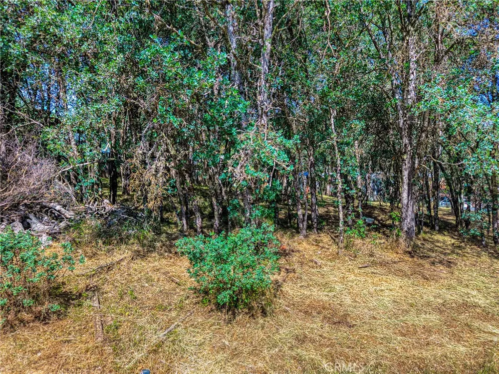16793 Big Bear Lower Lake, CA 95457