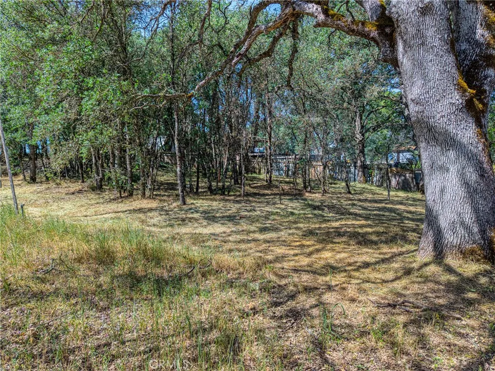 16793 Big Bear Lower Lake, CA 95457