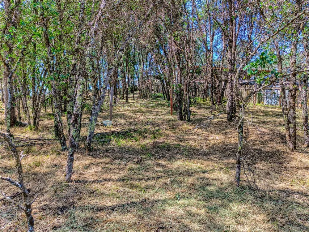 16793 Big Bear Lower Lake, CA 95457