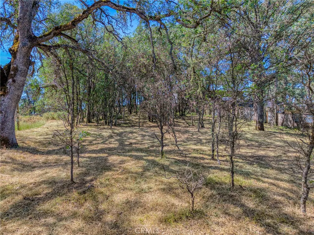 16793 Big Bear Lower Lake, CA 95457