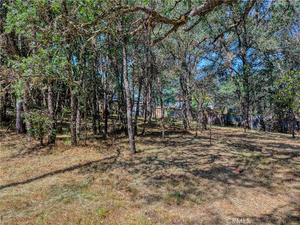 16793 Big Bear Lower Lake, CA 95457