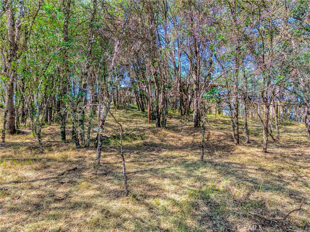 16793 Big Bear Lower Lake, CA 95457