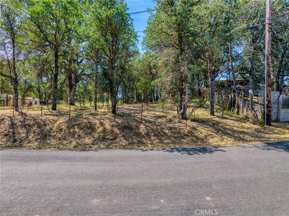 16793 Big Bear Lower Lake, CA 95457