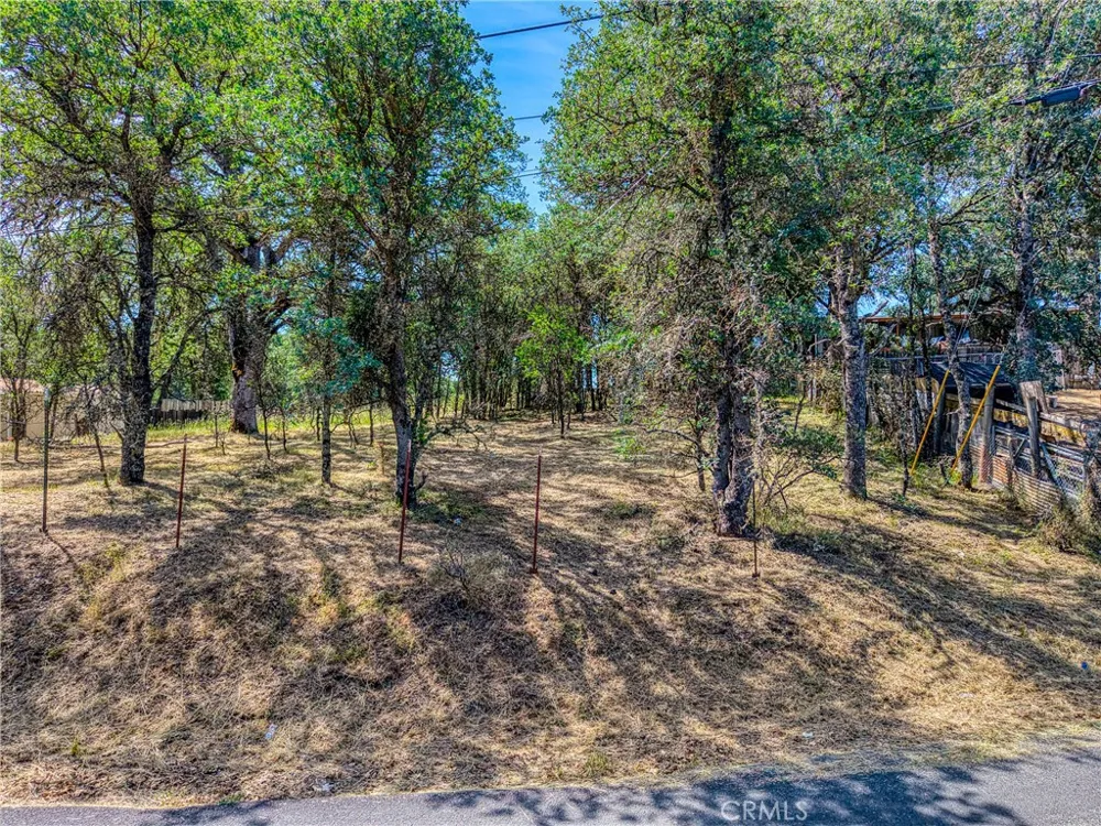 16793 Big Bear Lower Lake, CA 95457