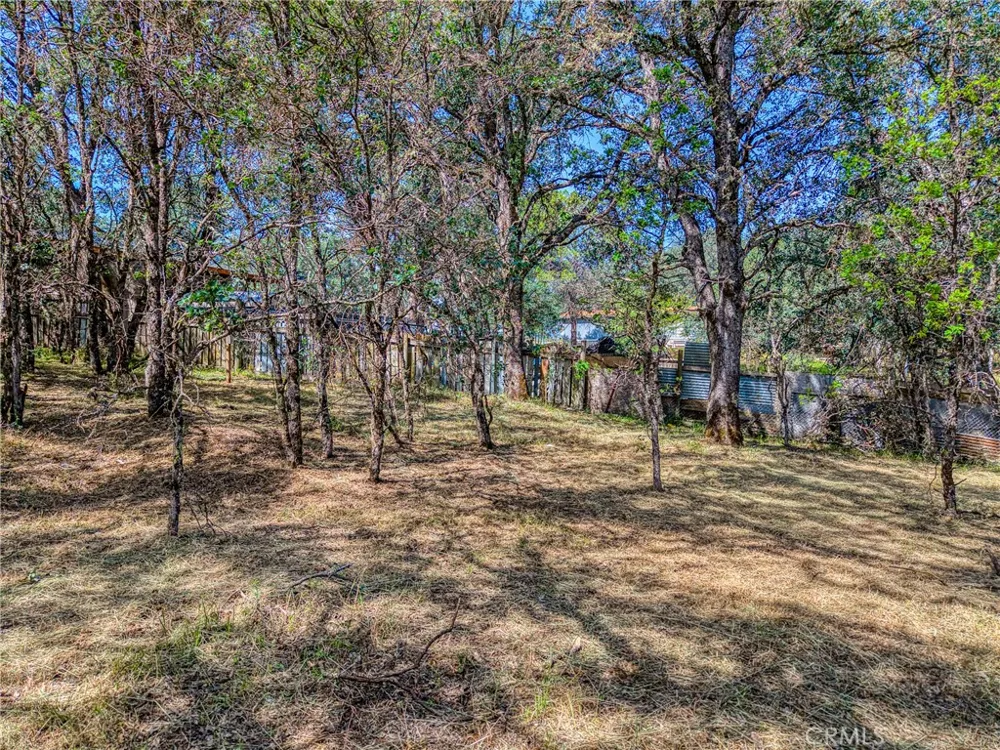 16793 Big Bear Lower Lake, CA 95457