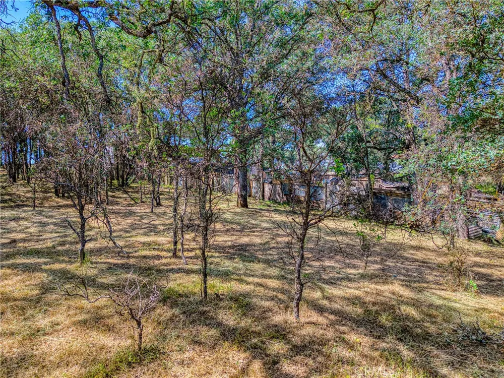 16793 Big Bear Lower Lake, CA 95457