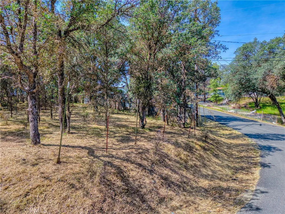 16793 Big Bear Lower Lake, CA 95457