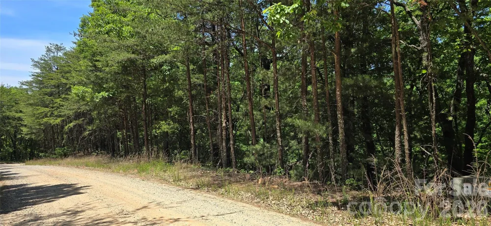 Lot 22B Pinnacle Parkway Union Mills, NC 28167