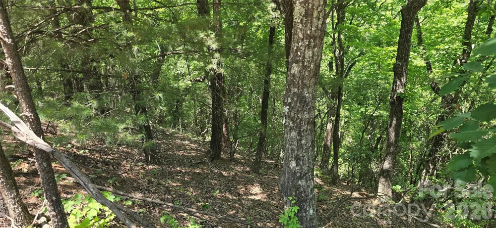 Lot 22B Pinnacle Parkway Union Mills, NC 28167