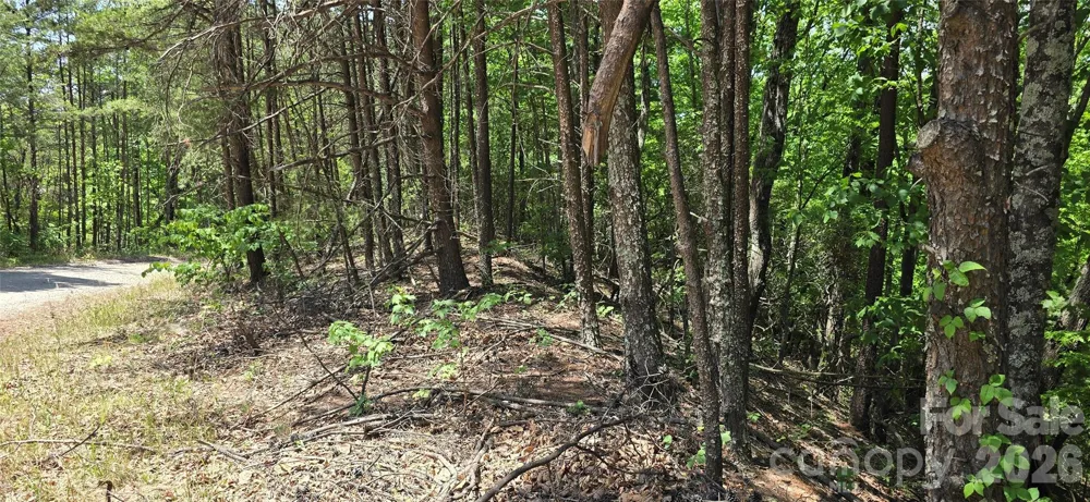 Lot 22B Pinnacle Parkway Union Mills, NC 28167