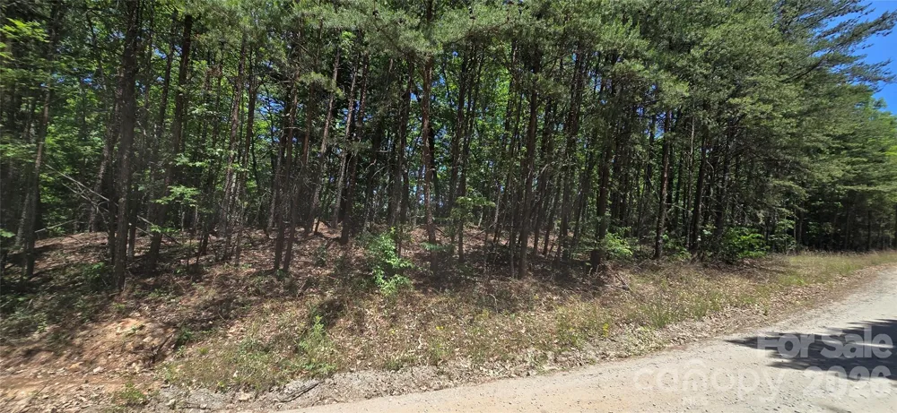 Lot 22B Pinnacle Parkway Union Mills, NC 28167