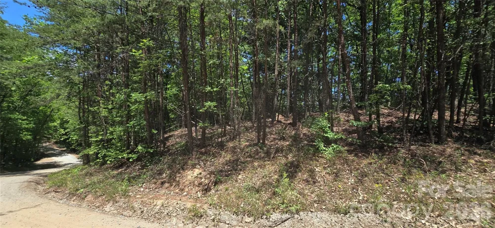 Lot 22B Pinnacle Parkway Union Mills, NC 28167